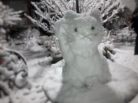 雪国のにゃんこだるま 雪国のにゃんこだるま 猫,雪だるま,雪猫の写真素材