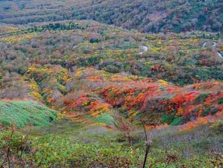 紅葉の秋田駒ケ岳 紅葉の秋田駒ケ岳の写真