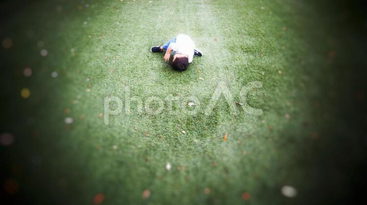 芝生と男の子 男の子,芝生,自然の写真素材