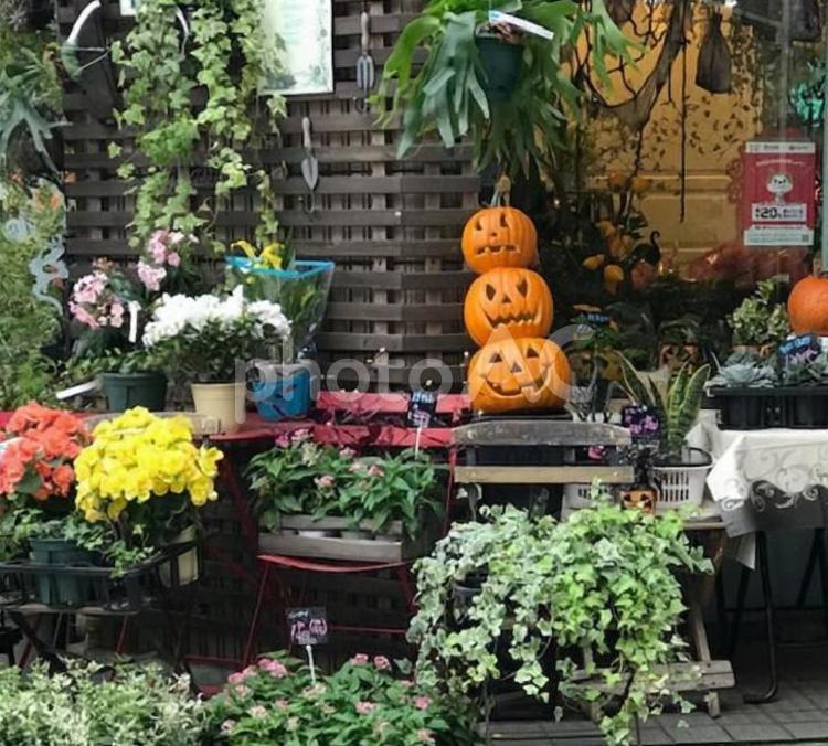 もうすぐハロウィンお花屋さんの店先 まつり,風物詩,背景の写真素材