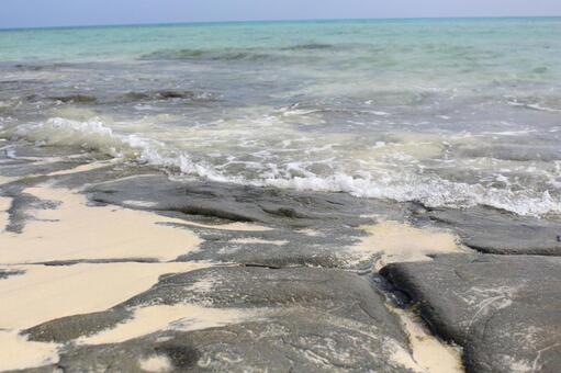 澄んだ海の写真