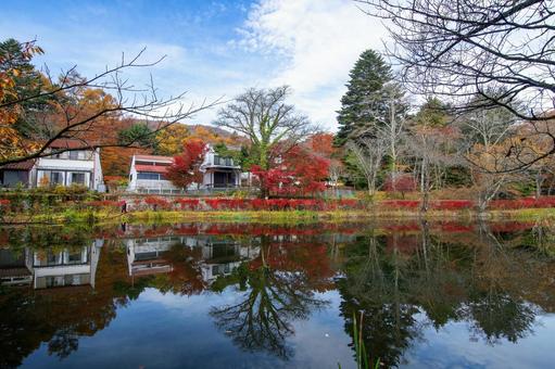 雲場池の紅葉 雲場池の紅葉 軽井沢,秋,自然の写真素材