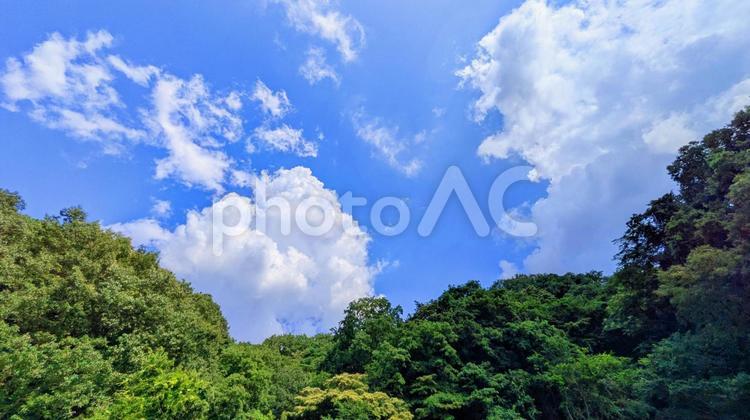 青空と緑の木々-29 山,空背景,木の写真素材