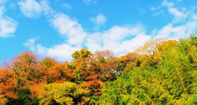 陽射しに打たれる秋の山 青空,秋空,空の写真素材