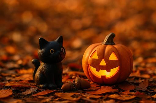黒猫とジャックオーランタンのハロウィン 黒猫とジャックオーランタンのハロウィンの写真