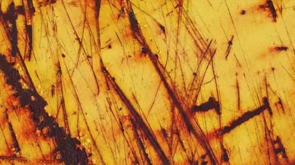 錆鉄板 金属,板,テクスチャーの写真素材