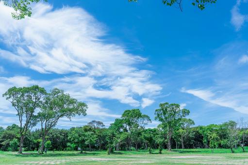 公園の空(山口県) 公園の空(山口県)の写真