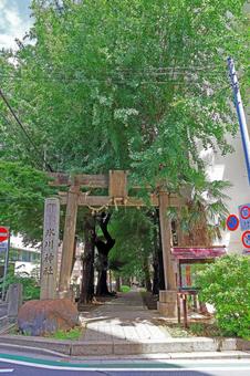 氷川町氷川神社(板橋) 氷川町氷川神社(板橋) 氷川町氷川神社,素戔男命,稲田姫命の写真素材