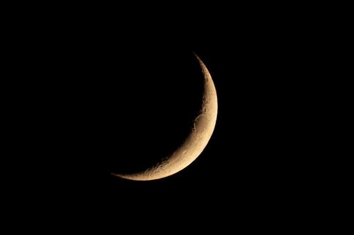月齢2.8 月齢2.8の写真