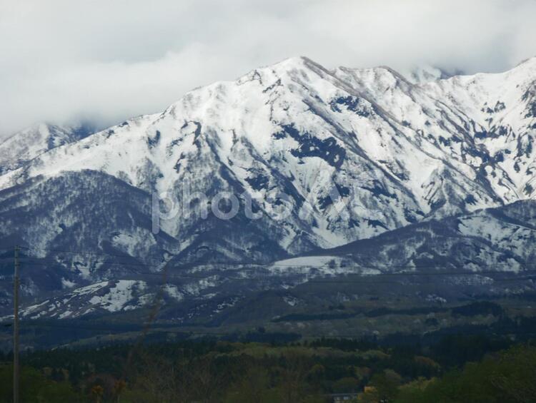 Horses on Myoko, JPG Horses on Myoko, wonderful mountain, bounce horse, spring plowing, JPG