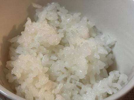 ご飯 ご飯の写真