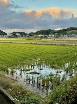 晩秋の田舎の夕暮れ　福井県あわら市 冬,地方,晴れの写真素材