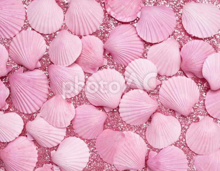 キラキラの中に沢山のピンク貝殻たち02 貝殻,ピンクの貝殻,sandの写真素材