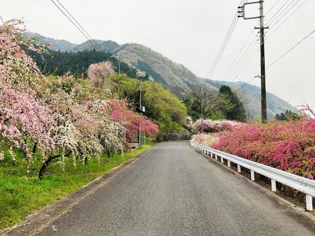 桃源郷２の写真