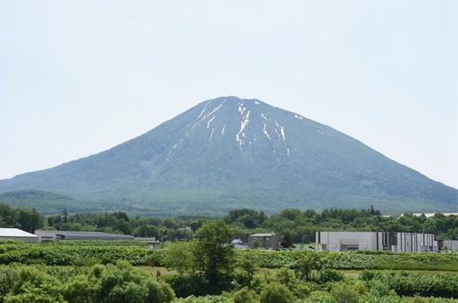羊蹄山 羊蹄山の写真