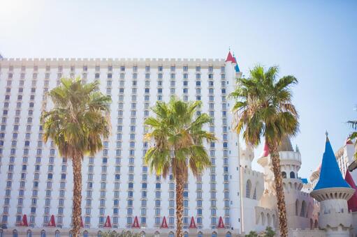 High-rise building and castle-like building, foreign countries, america, city, JPG