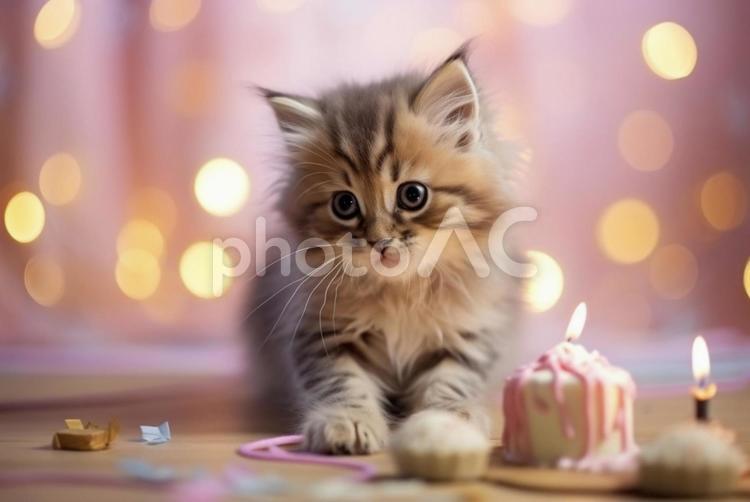 バースデーケーキと可愛い子猫　パーティー 子猫,バースデーケーキ,ケーキキャンドルの写真素材