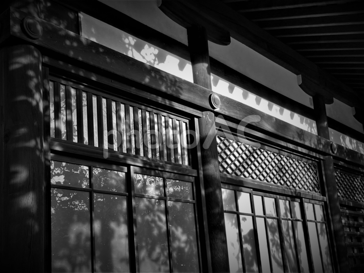 日本建築 鳥居,靖国神社,青空の写真素材