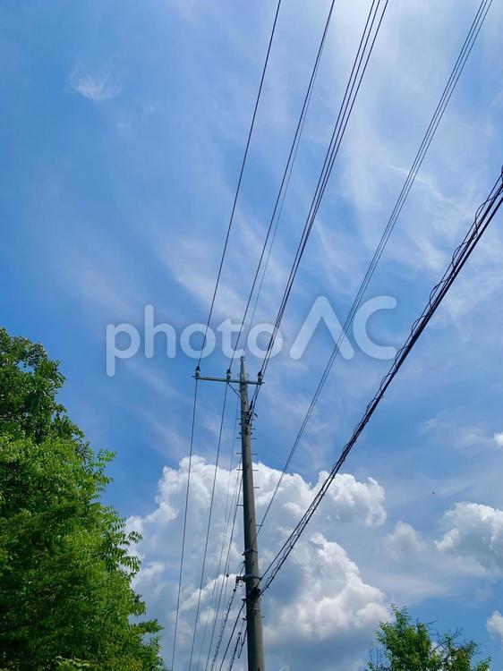 初夏を見上げて 空,雲,電線の写真素材