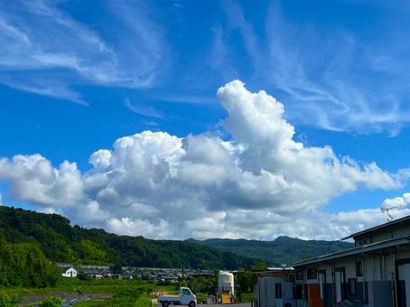 Summer landscape, JPG