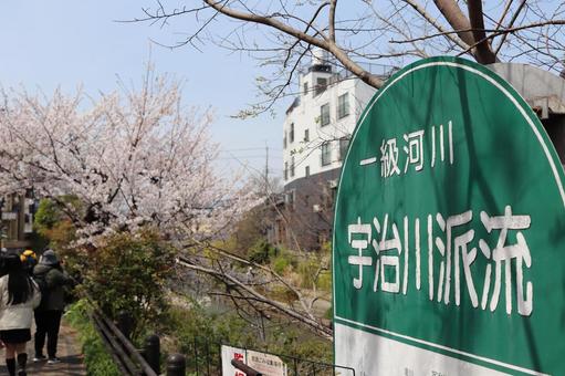 宇治川 宇治川 豪川河川敷,京都,京橋の写真素材