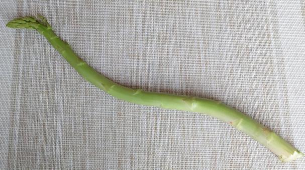 Dragon-like asparagus, JPG