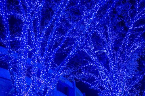 青の洞窟 青の洞窟 青の洞窟,イルミネーション,イベントの写真素材