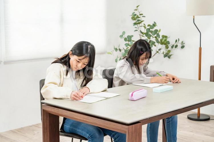 勉強をする女の子 勉強,学習,生徒の写真素材