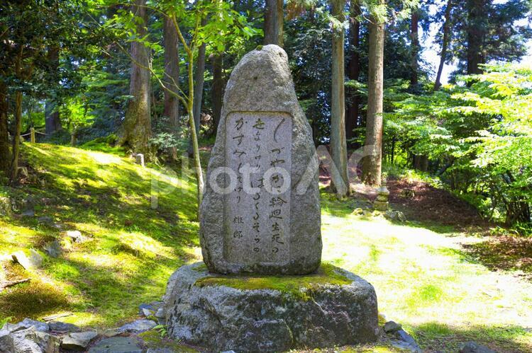 比叡山延暦寺 比叡山延暦寺,比叡山,京都の写真素材
