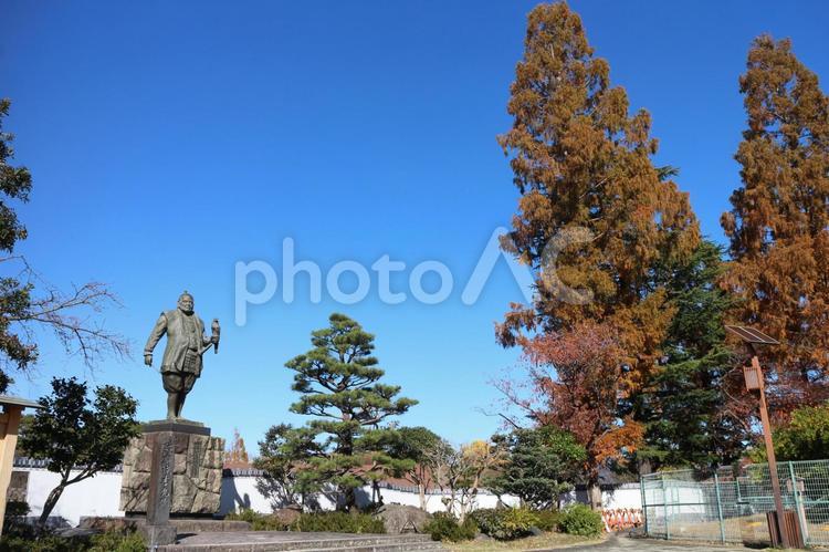 駿府城公園の秋と徳川家康銅像 銅像,徳川家康,家康の写真素材