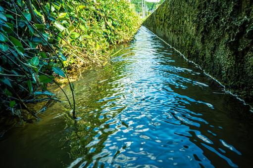 夏の田んぼの用水路 夏の田んぼの用水路 田んぼ,川,小川の写真素材