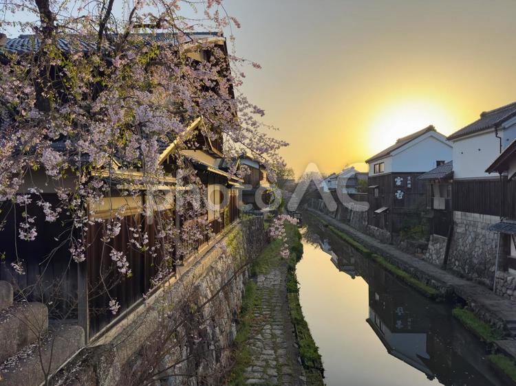 近江八幡（八幡堀）の春-3 近江八幡,八幡堀,八幡堀めぐりの写真素材