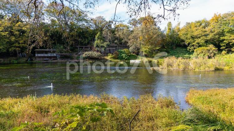 静寂なる秋の風景 自然,川,緑の写真素材