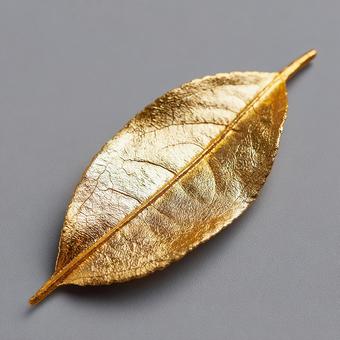 アートのような金の葉 アートのような金の葉の写真