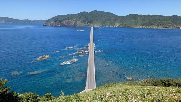鳥ノ巣山展望所から見る甑大橋と青い海 鳥ノ巣山展望所から見る甑大橋と青い海 甑大橋,橋,まっすぐの写真素材