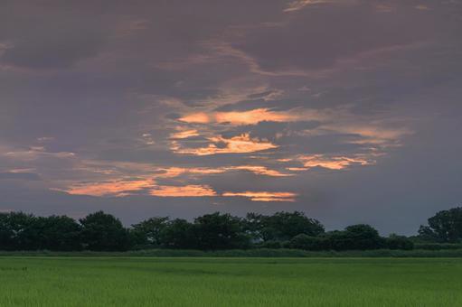 Summer sunrise, JPG