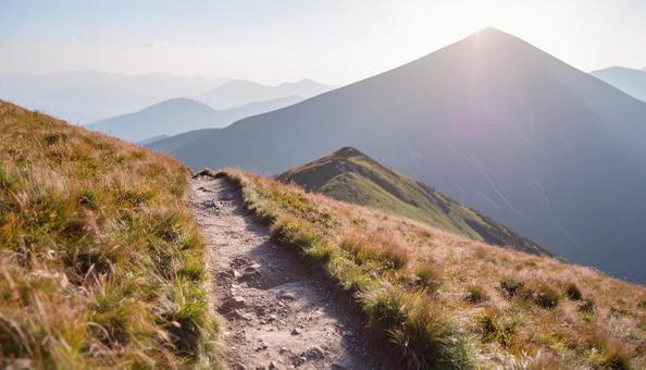 ハイキングコースの山道の写真