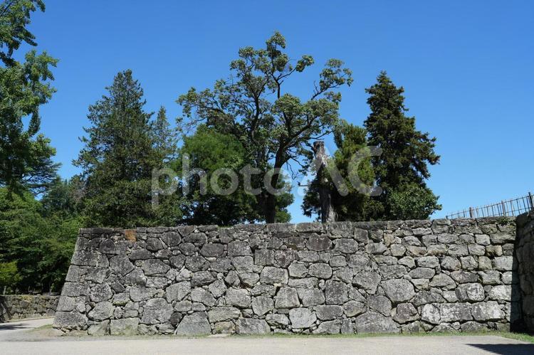 上田城址公園の風景　石垣がきれいな城跡 上田城,東虎口櫓門,櫓門の写真素材