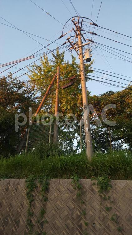夕焼け-須惠町 植木 夕方,夕焼け,電柱の写真素材