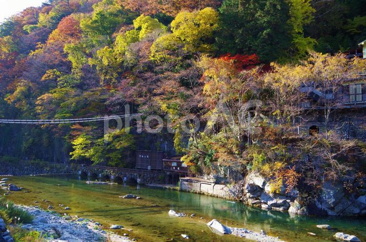 栃木県　紅葉シーズンの川治温泉　薬師の湯 川治温泉,川治,紅葉の写真素材