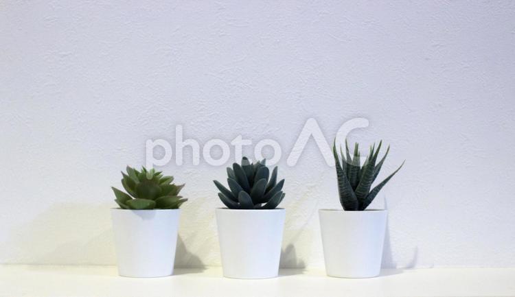 観葉植物の置物　３つ　インテリア小物　おしゃれ 緑,インテリア,おしゃれの写真素材