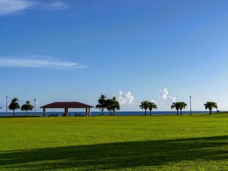 豊崎海浜公園の自然風景 豊崎海浜公園の自然風景の写真