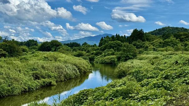 Photo, primary forest, chuan, secondary river, 