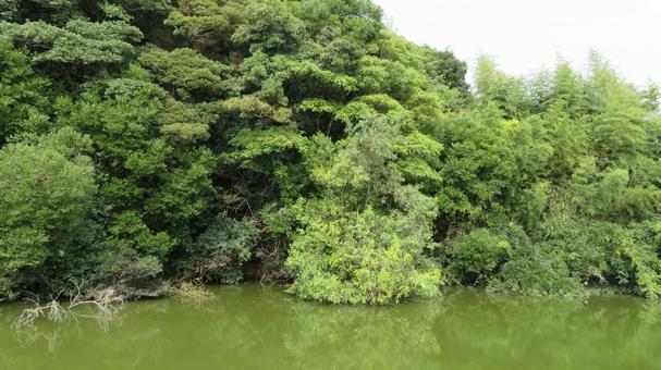 大草城 水堀跡 大草城 水堀跡の写真