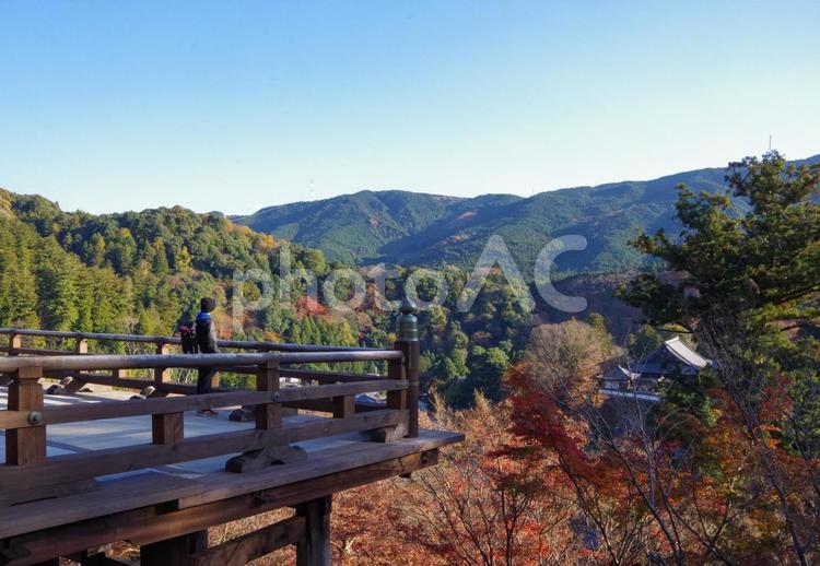 長谷寺　本堂からの雄大な風景（奈良県） 長谷寺,本堂,舞台の写真素材