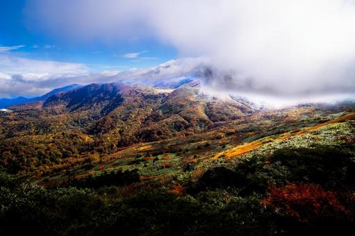 栗駒山 黄金色の草原と紅葉 栗駒山 黄金色の草原と紅葉 秋,紅葉,黄葉の写真素材