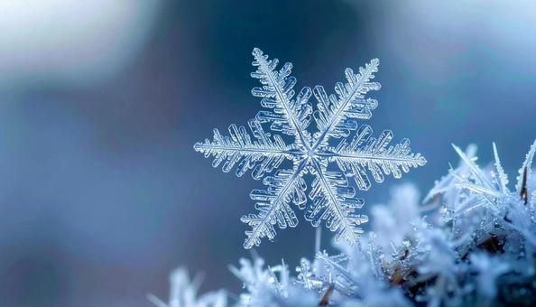 雪の結晶 マクロ クローズアップ 雪の結晶 マクロ クローズアップの写真