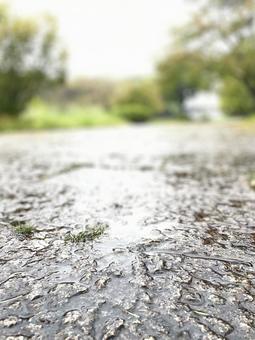 雨に濡れた道 道,雨,石畳の写真素材