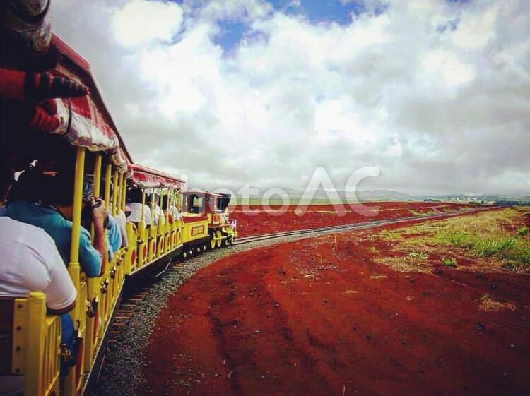 大地を走る列車 列車,大地,乗り物の写真素材