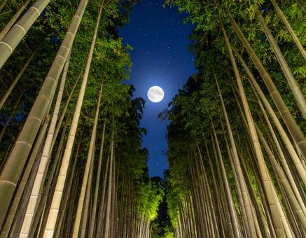 Moonlit bamboo forest and starry sky on the night of Tanabata, tanabata, moonlight, full moon, JPG